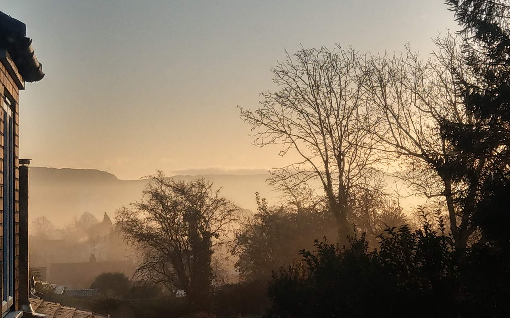 174 Morning mist by angelar