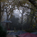 Cold Misty Morning by fotoblah