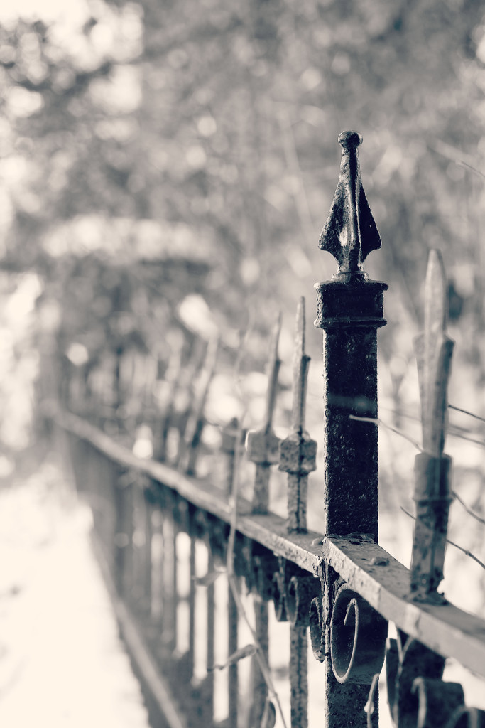 Ye Olde Iron Fence by juliedduncan