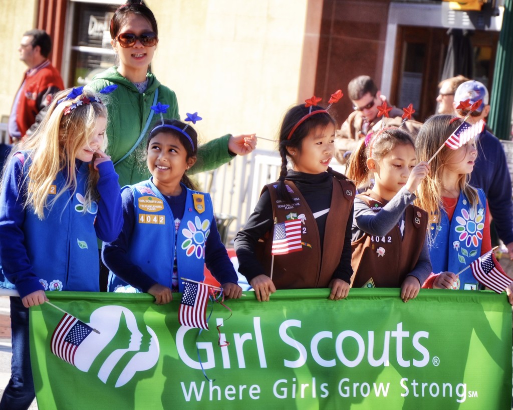 Girl Scouts by louannwarren