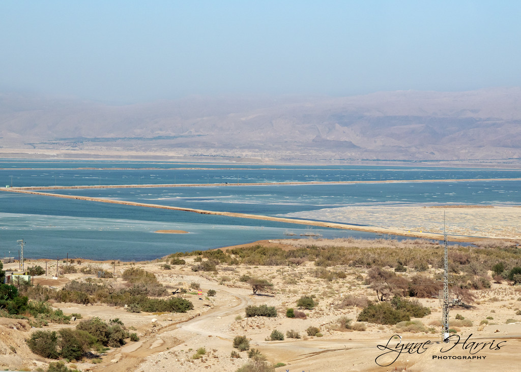 The Dead Sea by lynne5477