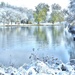 Early Winter by lynnz