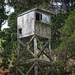 Watchtower by kiwinanna
