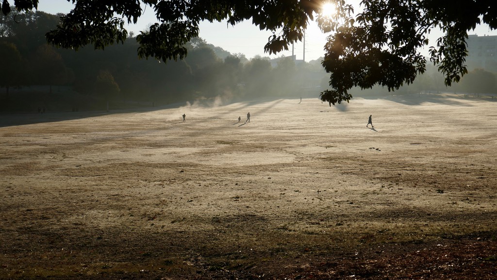 Chilly early morning, Piedmont Park, Atlanta by swagman