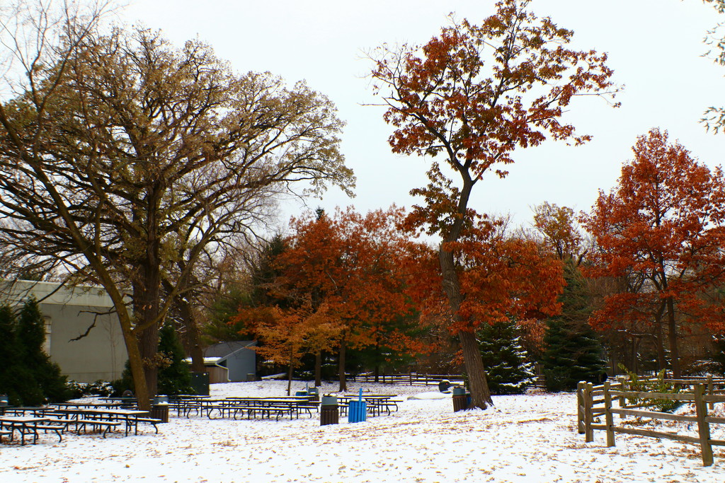 Fall/Winter by randy23