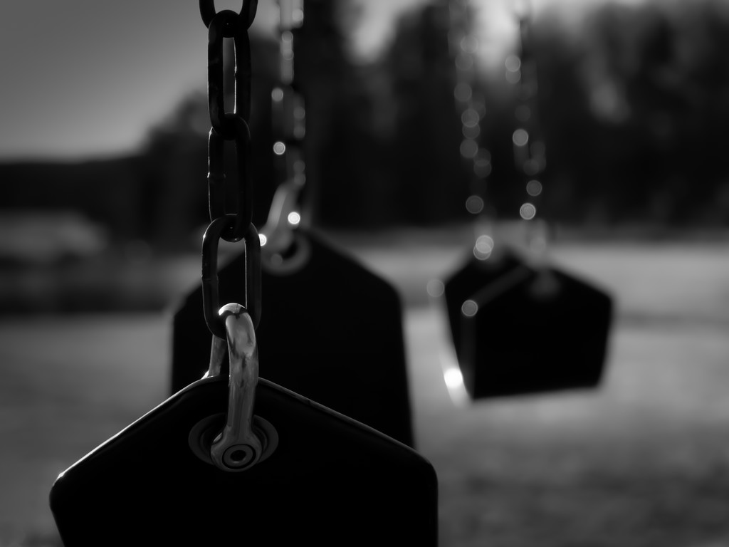 swinging the dof by northy