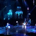 Cirque du Soleil - The Beatles - LOVE by kathyo
