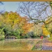 Autumn On The Canal by carolmw