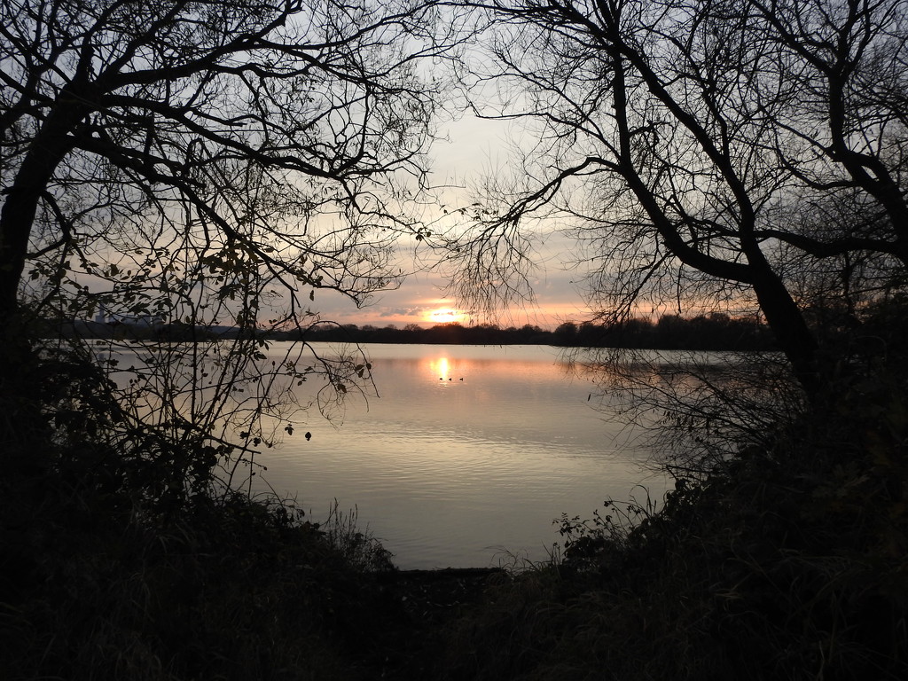 Evening at Attenborough by oldjosh