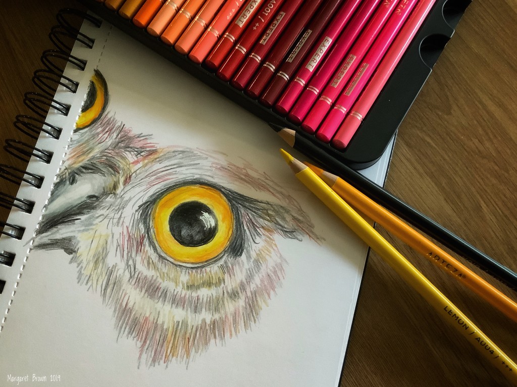 Eye eye! by craftymeg