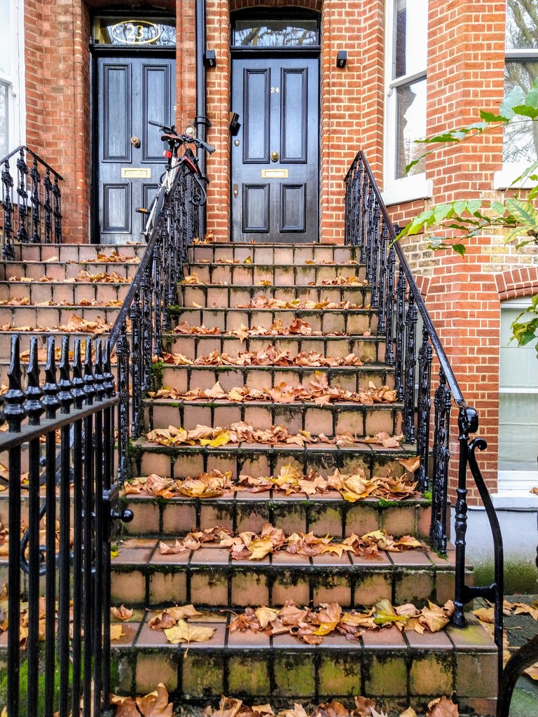 Autumn leaves on the steps by boxplayer