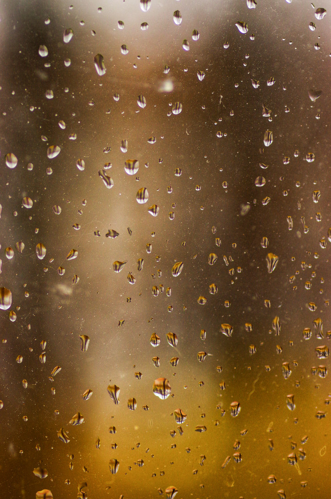 Raindrops and Refractions  by mzzhope