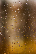 24th Nov 2019 - Raindrops and Refractions 