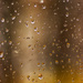 Raindrops and Refractions  by mzzhope