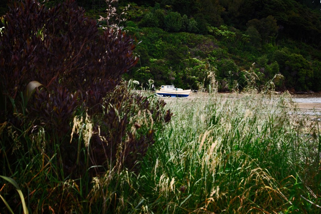 Cast ashore in a sea of grass by kiwinanna