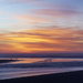 Seagulls At Sunset  by jgpittenger