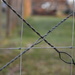 Backyard Fencing Wire by bjywamer