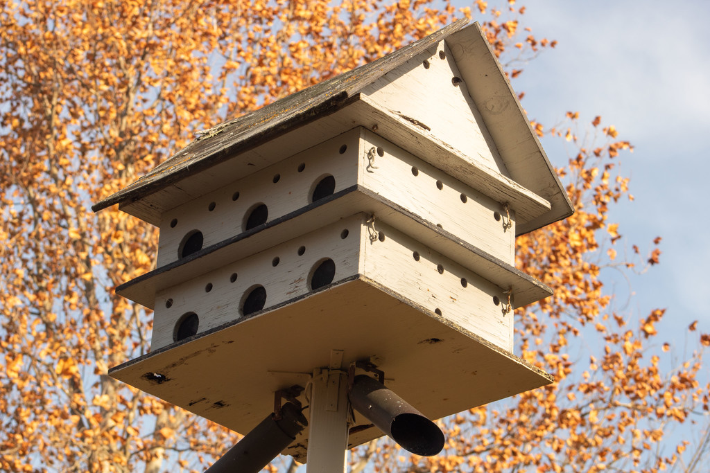 Double Decker Bird House by tdaug80