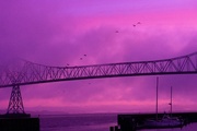 23rd Oct 2019 - Bridge with Gulls