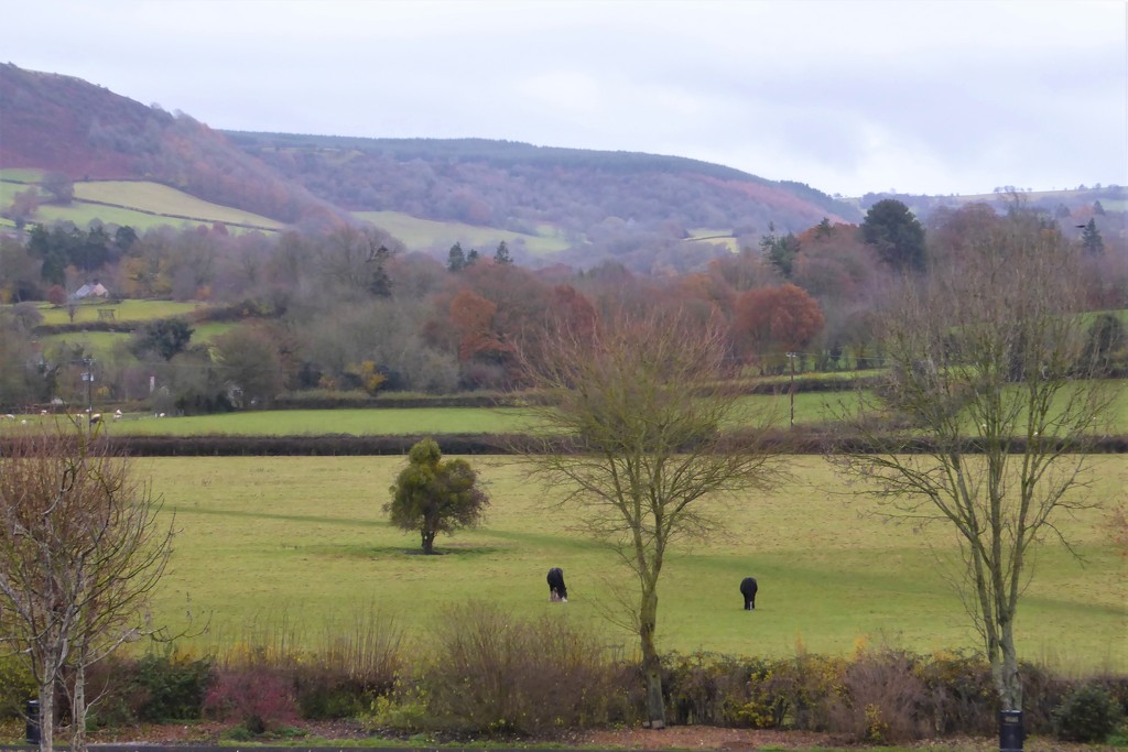  View from the Car Park, Hay on Wye by susiemc