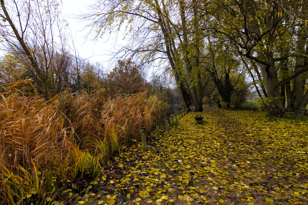 Autumn gold by rumpelstiltskin