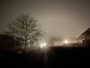 25th Nov 2019 - Fog in the morning