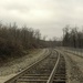 Railroad tracks by mittens