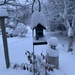 30cm (12inches) of Snow by radiogirl