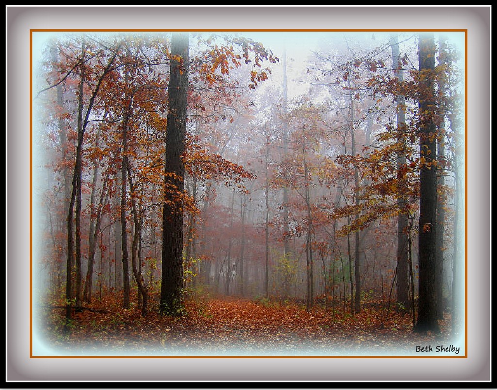 Foggy Fall Morning by vernabeth