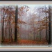 Foggy Fall Morning by vernabeth