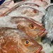 Fish for Sale by jyokota