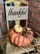 28th Nov 2019 - Happy Thanksgiving 