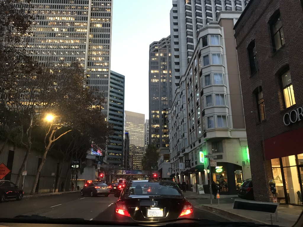 San Francisco by pandorasecho