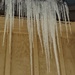Icicles II by harbie
