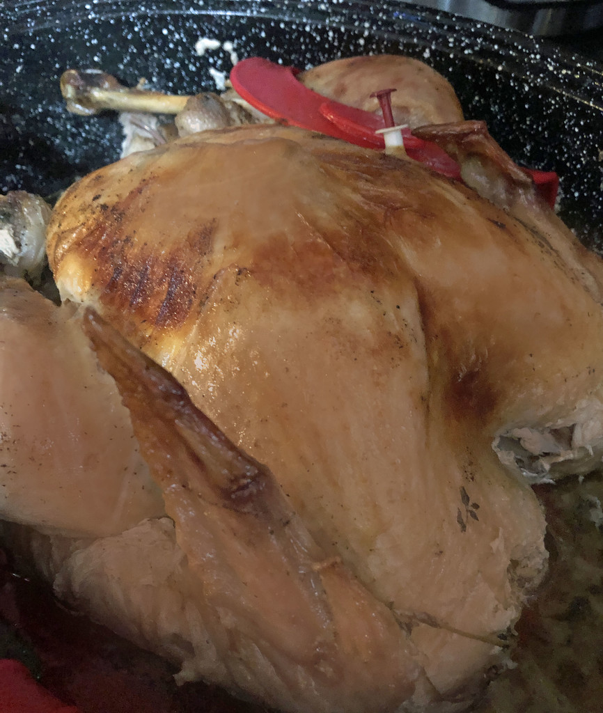 Turkey baking by homeschoolmom