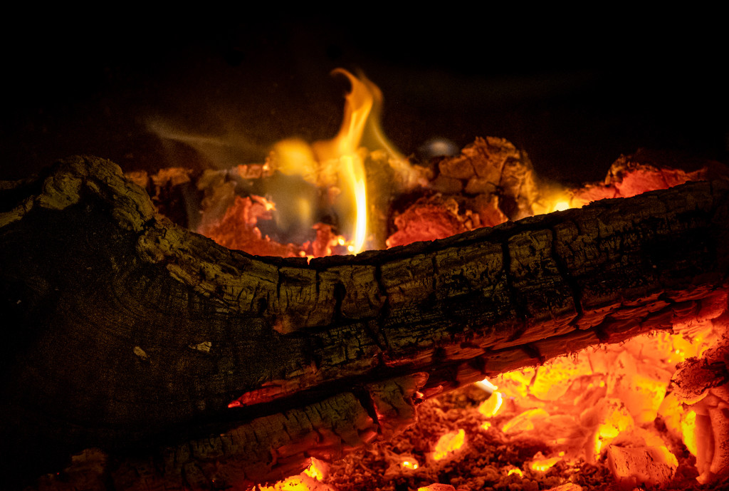 Log Fire... by vignouse