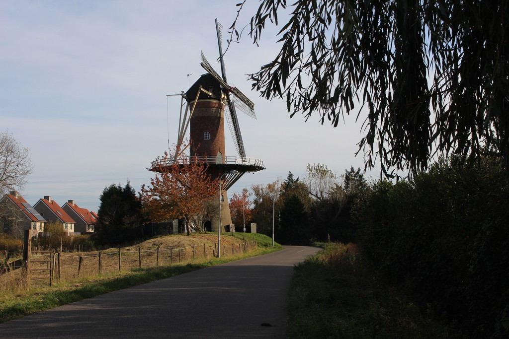 A Windmill. by pyrrhula