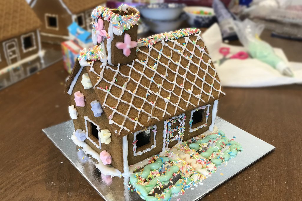 Gingerbread project... by ingrid01
