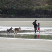 30th Nov 2019 - Goat walkers on the beach