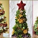   Succulent Christmas Trees ~       by happysnaps