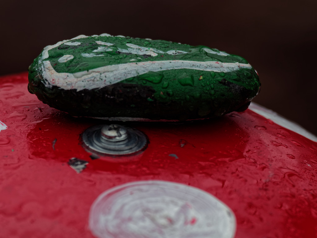 painted rock in the rain by rminer