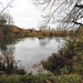 Iremongers Pond by oldjosh