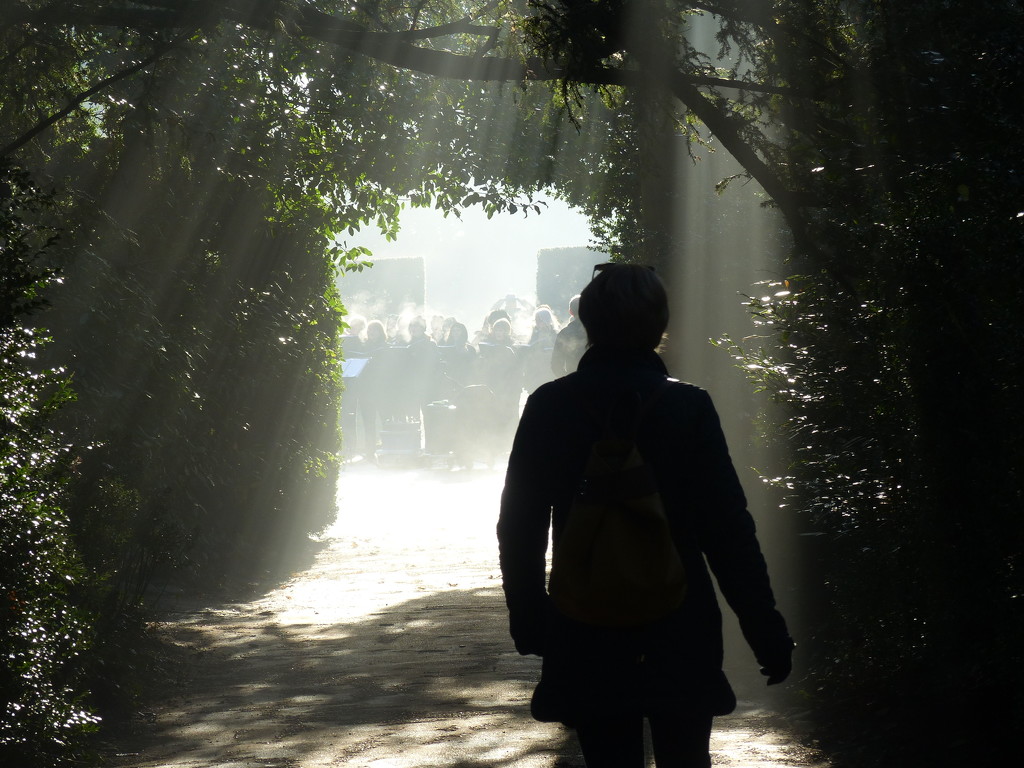 Carols at Anglesey Abbey by foxes37