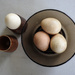 Guinea fowl eggs by jeneurell