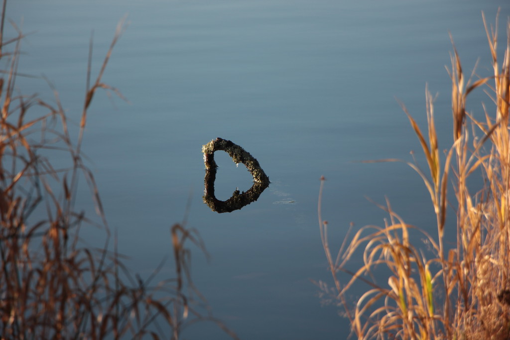Loch Kinord Reflections by jamibann