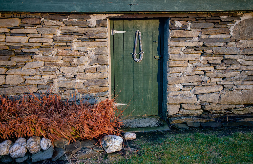 Shed Door by lifeat60degrees