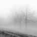 2019-12-01 a tiny little bit foggy by mona65