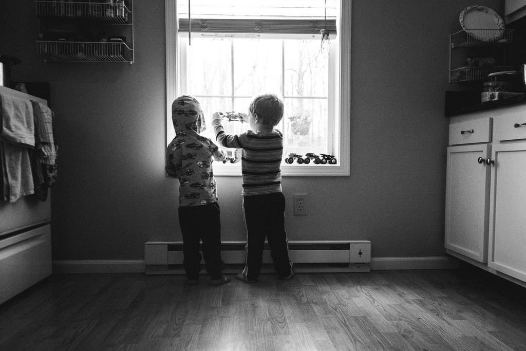 Buddies Playing in the Window by mistyhammond