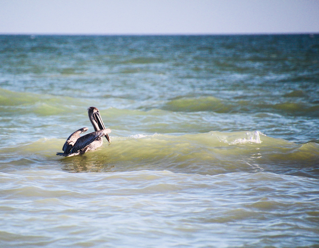 Catching a Wave by mzzhope