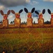 It must be Easter on Easter Island... by robz